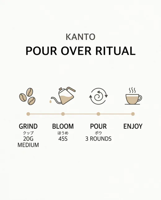 KI-generierte Infografik: Pour-Over-Brühanleitung in vier Schritten
